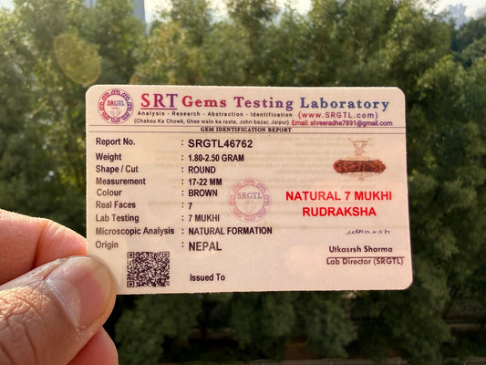 7 Mukhi Nepali Rudraksha With Lab Certification – Attract Money, Wealth, & Goddess Mahalakshmi Blessings🕉️🔱