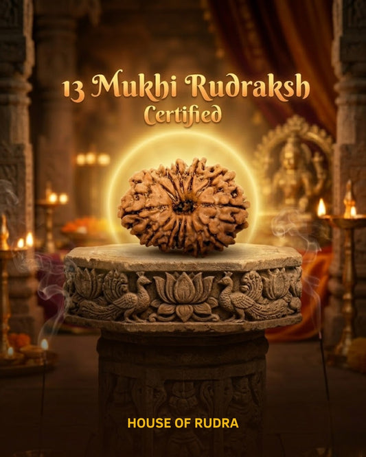 13 Mukhi Nepali Rudraksha | Lab-Certified Genuine Natural Thirteen Mukhi Nepal Rudraksha | Sacred Bead for Charisma, Prosperity, Confidence & Spiritual Growth