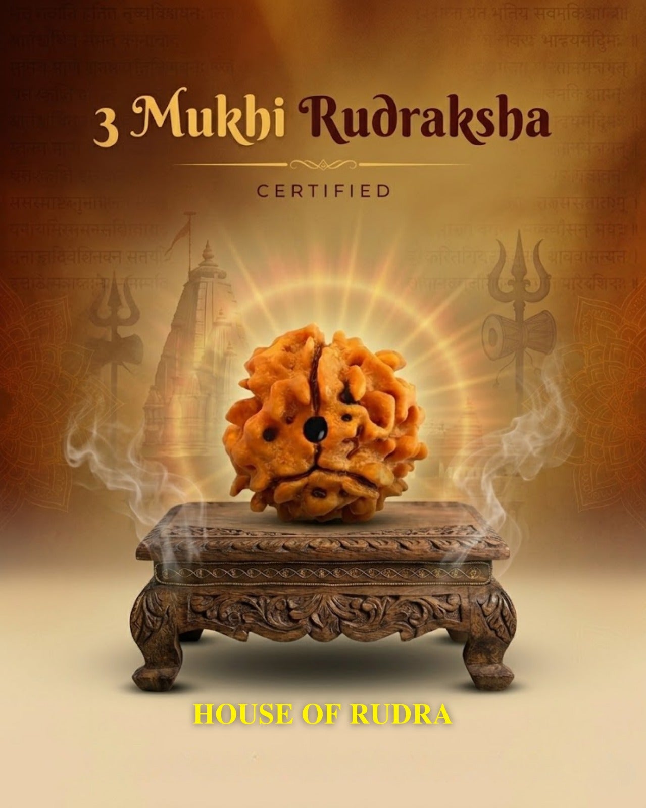 3 Mukhi Nepali Rudraksha | Lab-Certified Genuine Natural Three Mukhi Rudraksha | Sacred Bead for Confidence, Spiritual Growth & Positive Energy