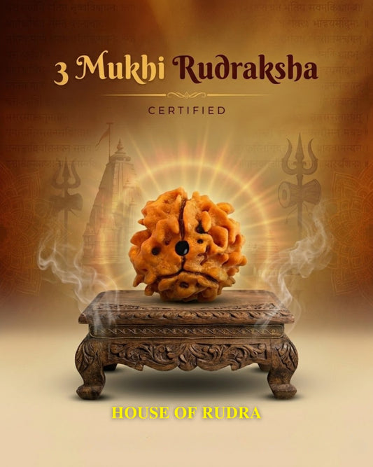 3 Mukhi Nepali Rudraksha | Lab-Certified Genuine Natural Three Mukhi Rudraksha | Sacred Bead for Confidence, Spiritual Growth & Positive Energy