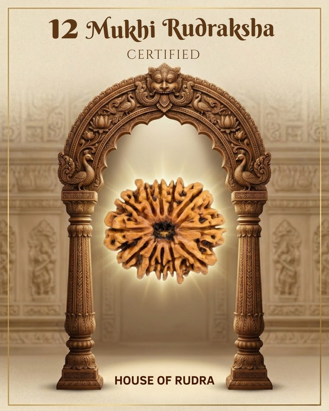 12 Mukhi Nepali Rudraksha | Lab-Certified Genuine Natural Twelve Mukhi Nepal Rudraksha | Sacred Bead for Leadership, Confidence, Vitality & Spiritual Growth