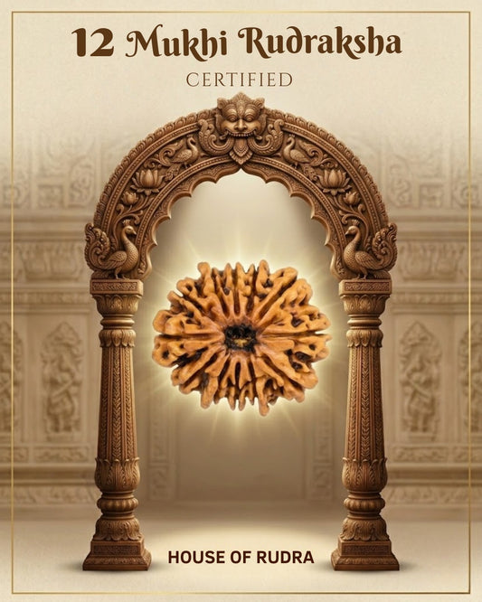 12 Mukhi Nepali Rudraksha | Lab-Certified Genuine Natural Twelve Mukhi Nepal Rudraksha | Sacred Bead for Leadership, Confidence, Vitality & Spiritual Growth
