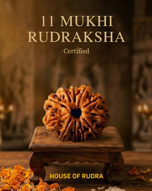 11 Mukhi Nepali Rudraksha | Lab-Certified Genuine Natural Eleven Mukhi Nepal Rudraksha | Sacred Bead for Courage, Wisdom, Spiritual Strength & Divine Blessings