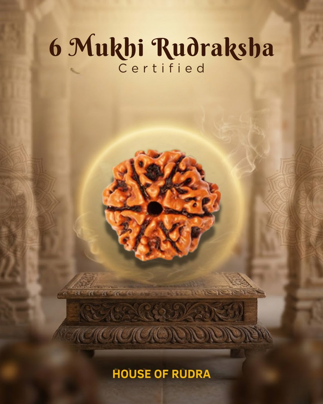 6 Mukhi Nepali Rudraksha | Lab-Certified Genuine Natural Six Mukhi Nepal Rudraksha | Sacred Bead for Confidence, Wisdom, Discipline & Spiritual Growth