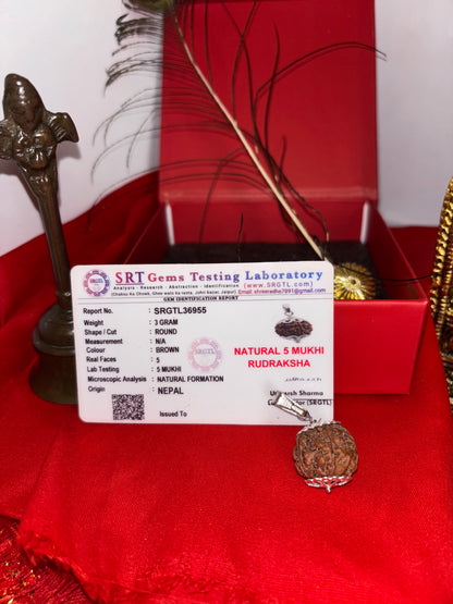 5 Mukhi Rudraksha With Lab Certification – Symbol of Peace, Wisdom & Balance