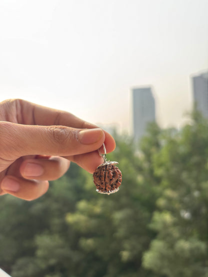 5 Mukhi Rudraksha With Lab Certification – Symbol of Peace, Wisdom & Balance