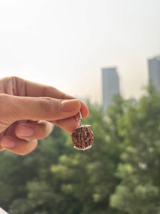 5 Mukhi Rudraksha With Lab Certification – Symbol of Peace, Wisdom & Balance